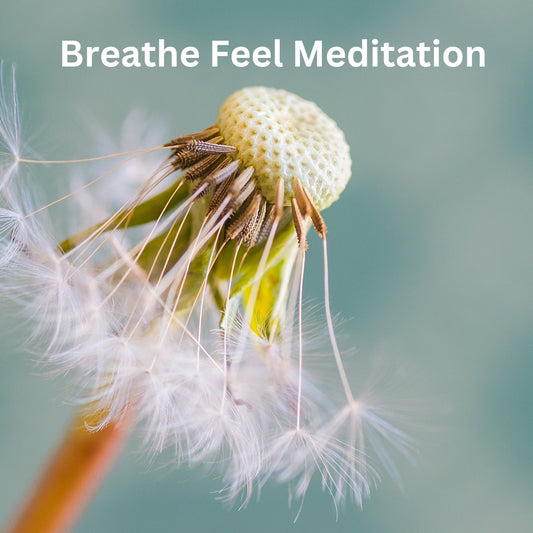Breathe...Feel Meditation - Art of Being You